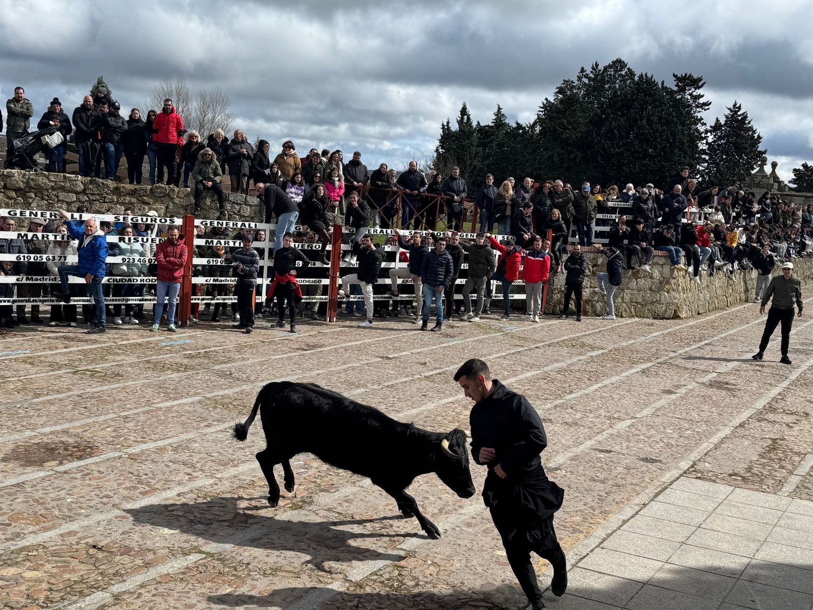 suelta-de-vaquillas-por-el-domingo-de-pinata-en-ciudad-rodrigo-9-de-marzo-de-2025-2