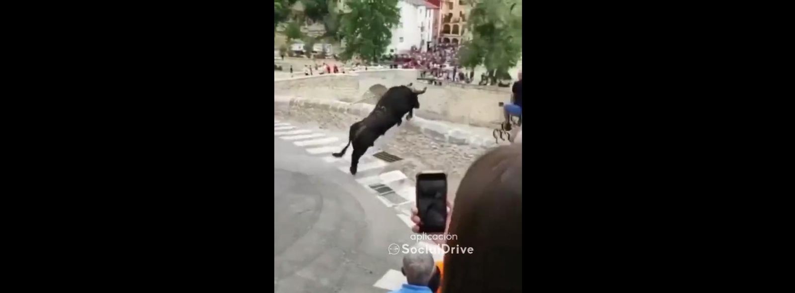 Un toro atado se precipita por un puente y genera el pánico en Valencia. Foto @SocialDrive_es