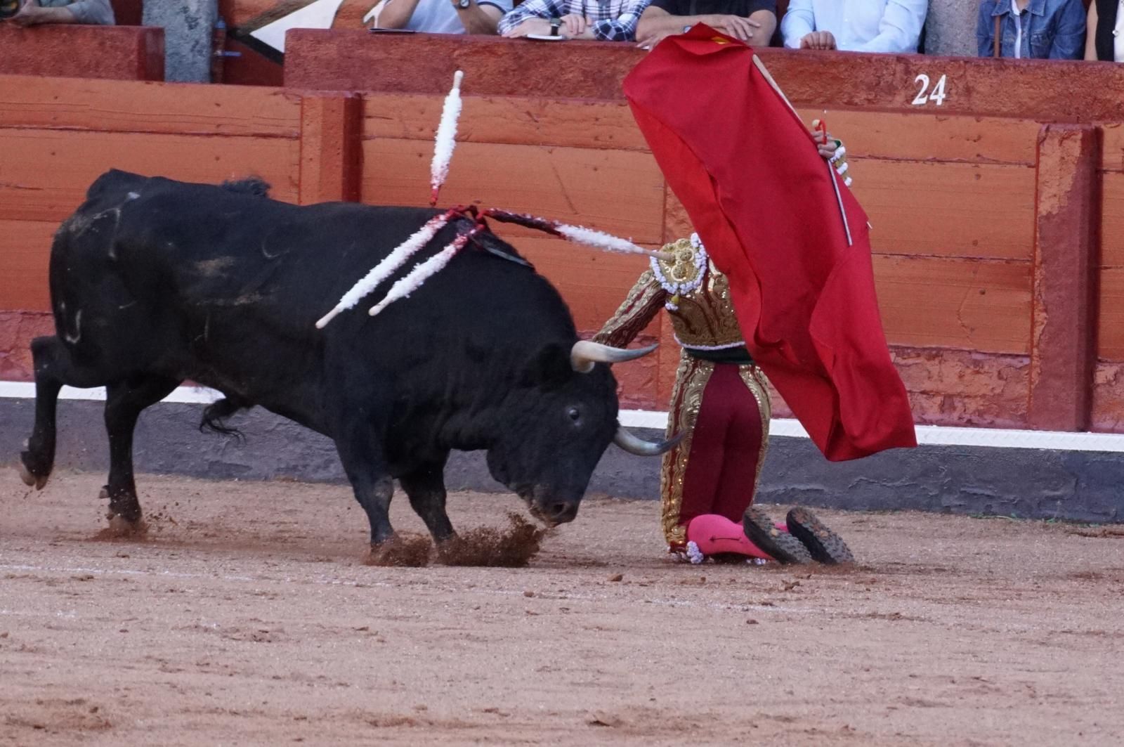 Presencia salmantina por partida doble en la primera corrida de la feria: Damián Castaño e Ismael Martín junto al mexicano Diego San Román