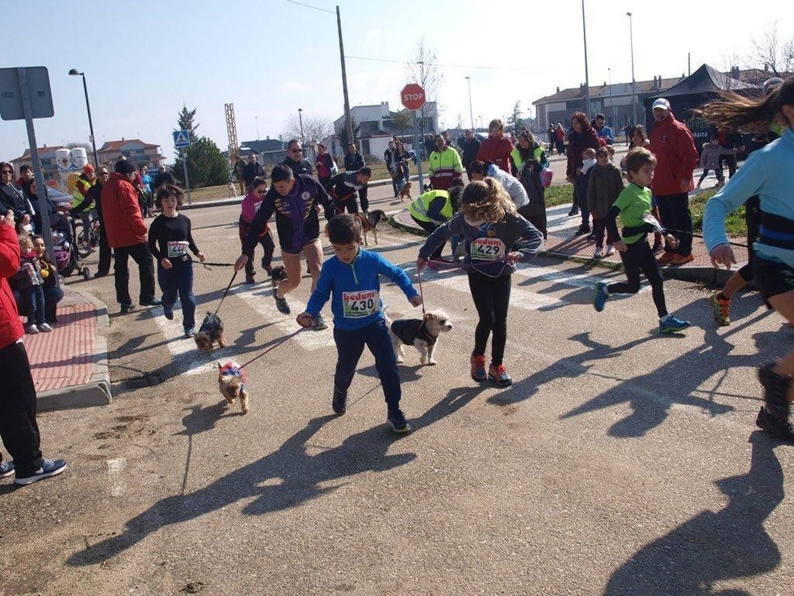Canicross Nuevo Naharros 2017