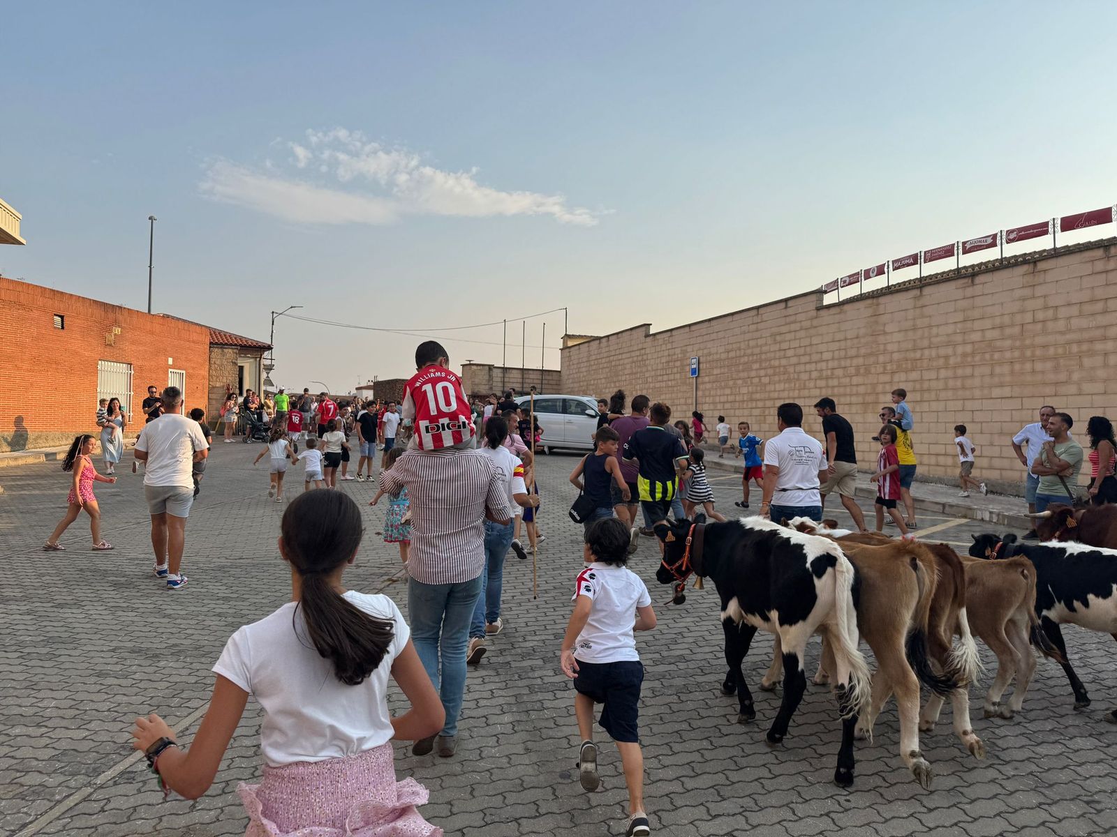 Encierro infantil de Mini Bueyes en Guijuelo durante sus fiestas 2025