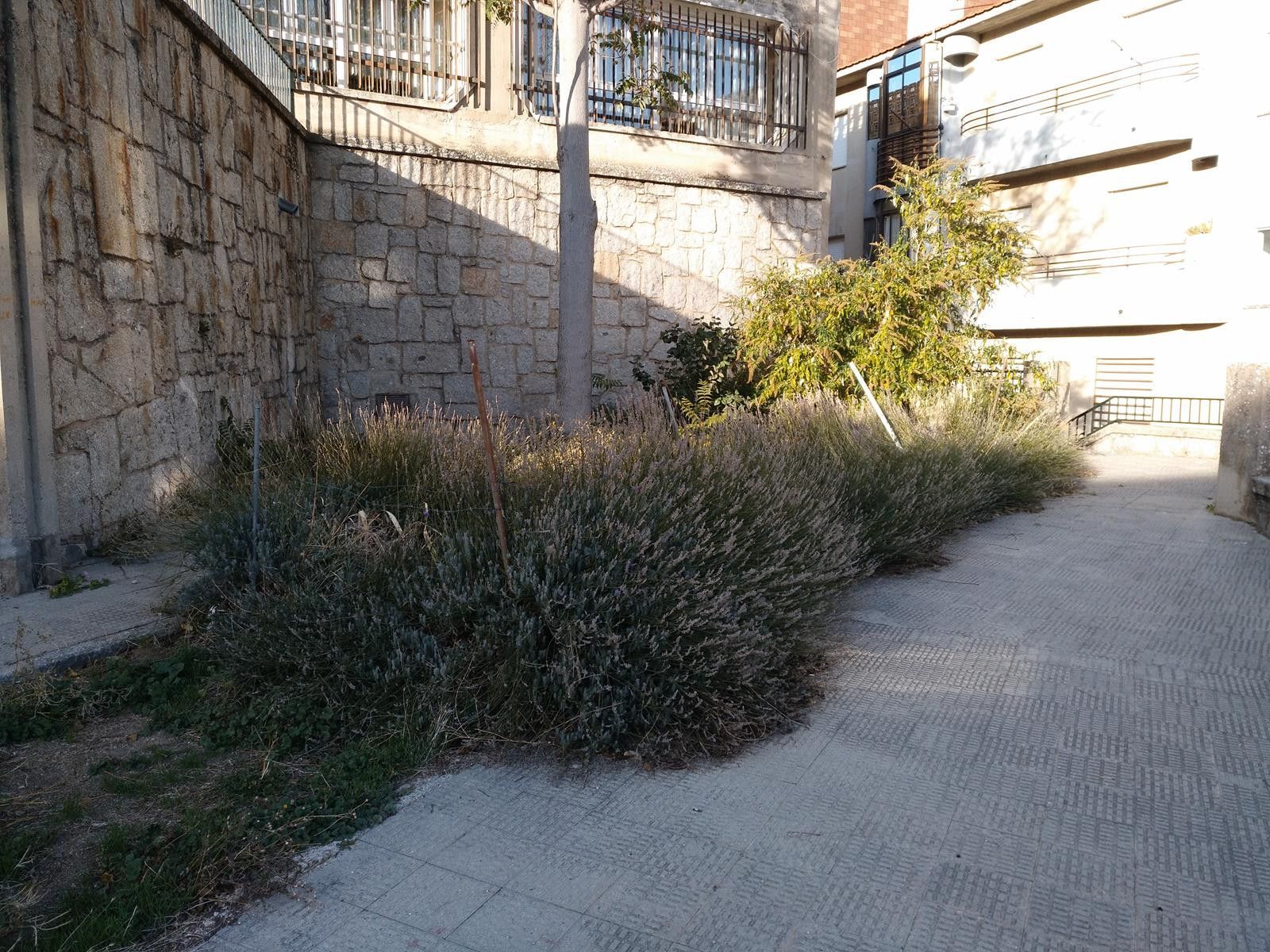 IMG 20171108 164114Copy 2