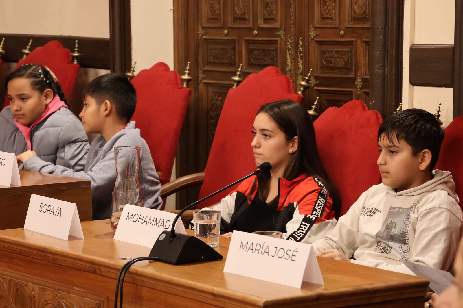 Pleno de la Infancia y la Adolescencia en el Ayuntamiento de Zamora (5).JPG