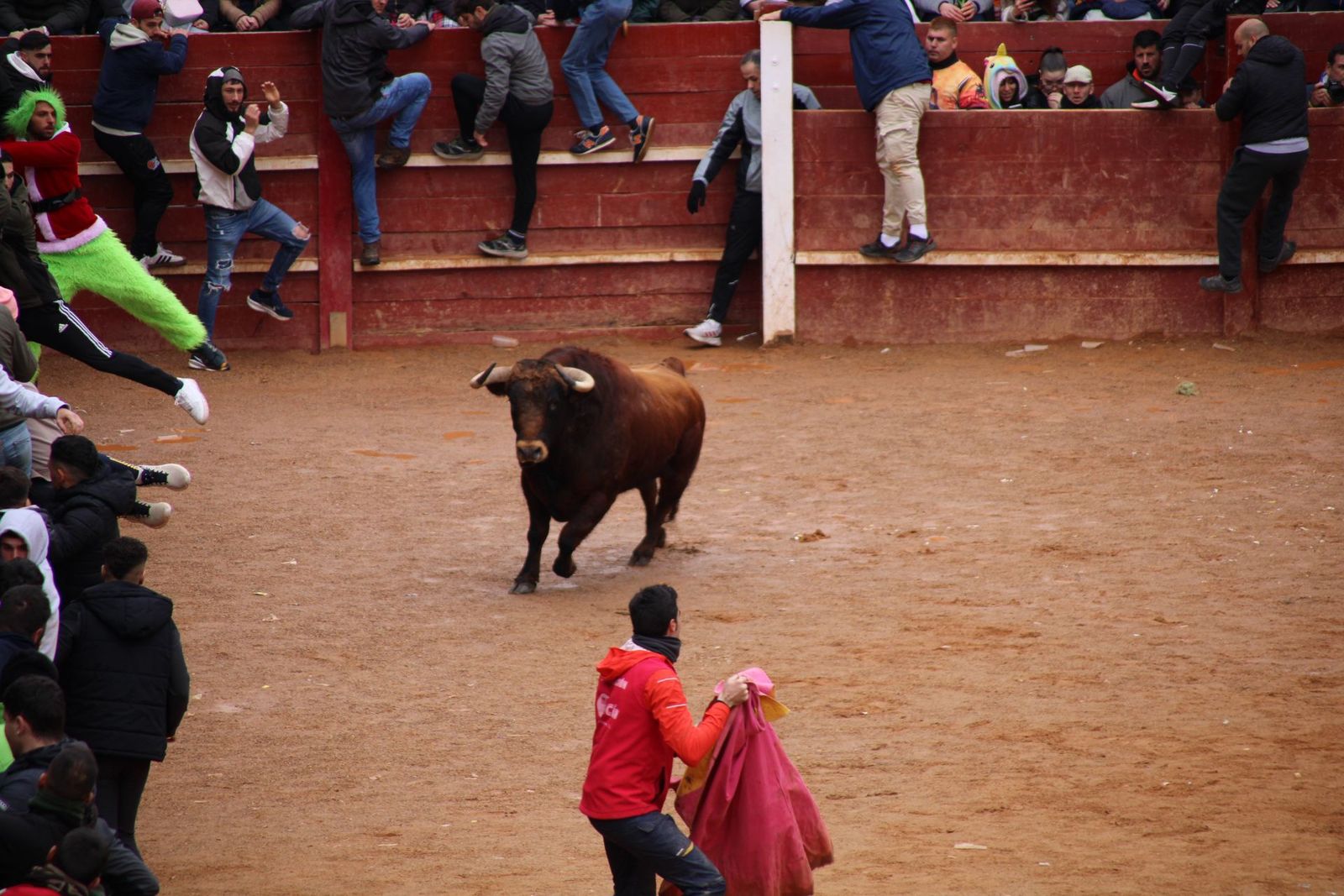 encierro-urbano-martes-de-carnaval-ciudad-rodrigo-2025-18