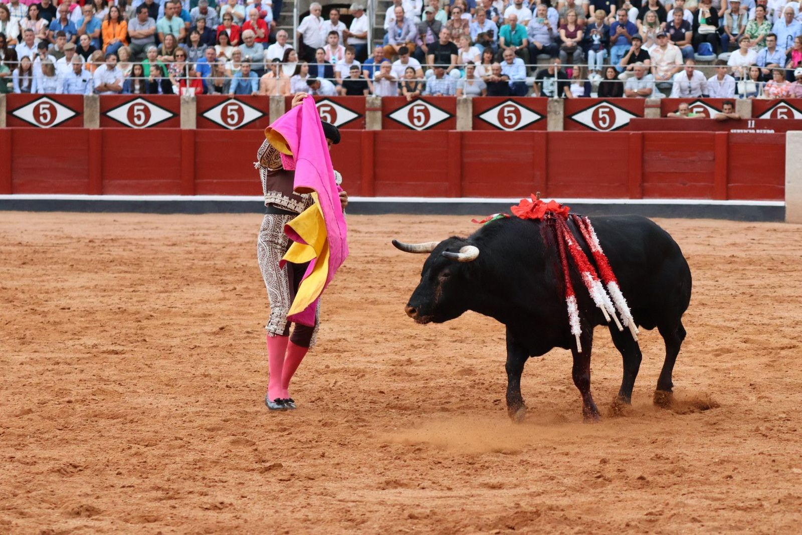 20230909184747-img-0749