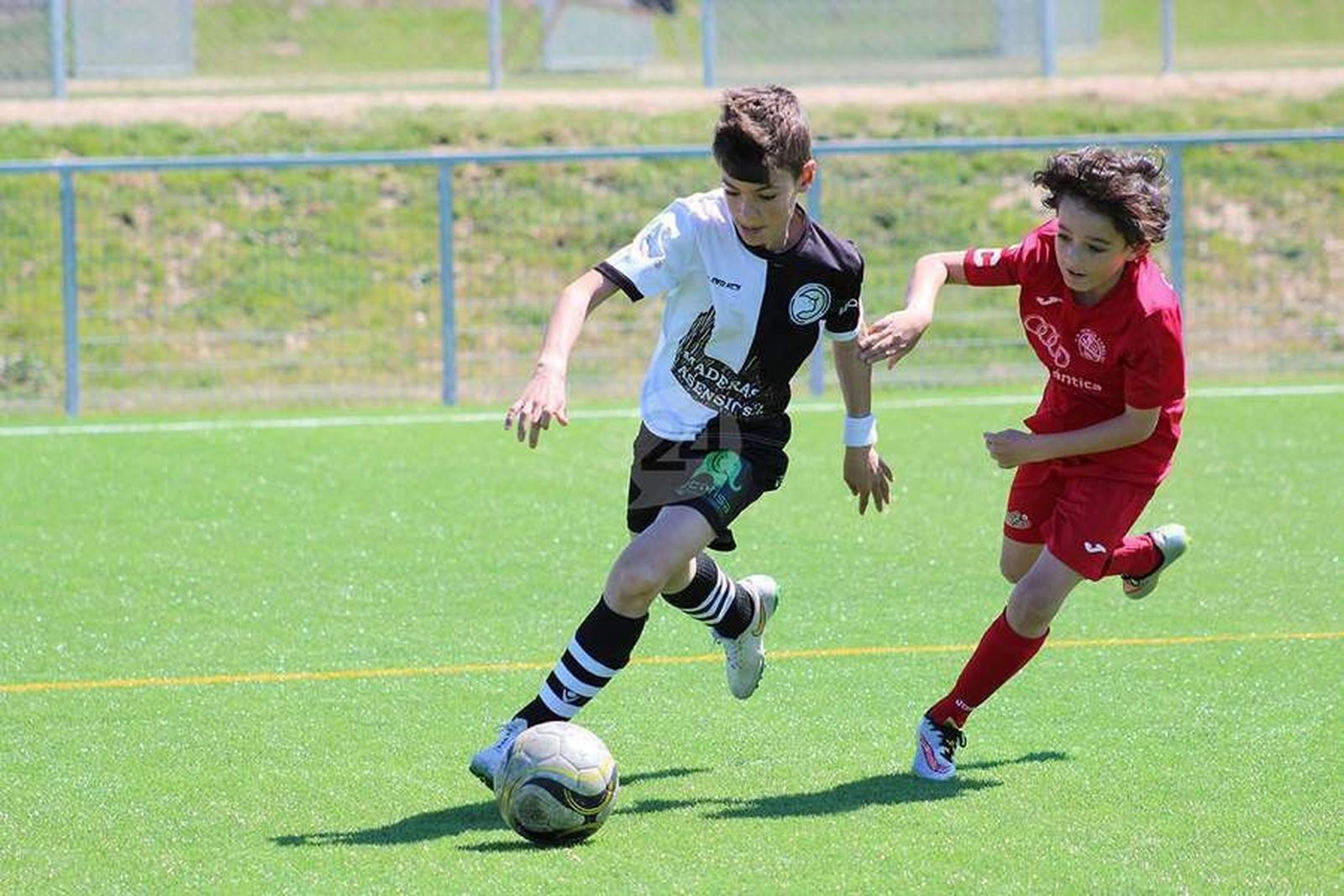 Resumen del año en categoría benjamín