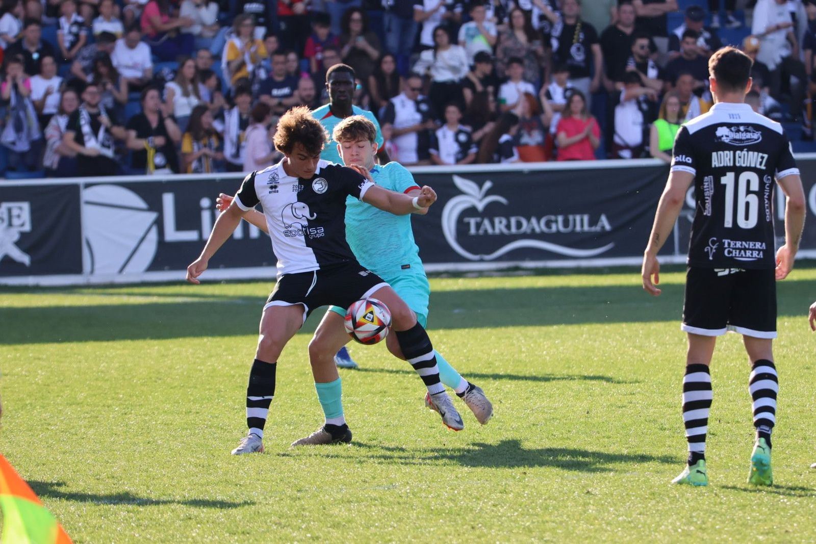 20240414182025-img-9191