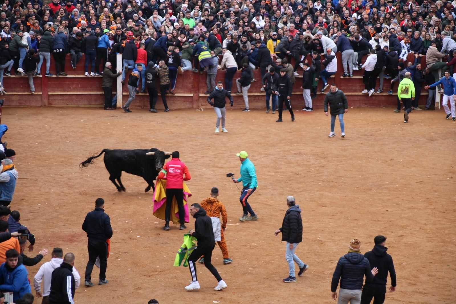 Encierro a Caballo en el Carnaval del Toro 2026 de Ciudad Rodrigo