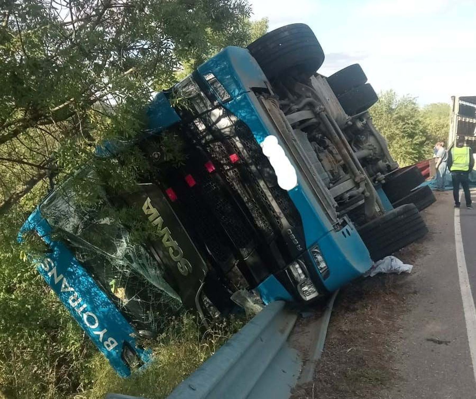 Camión de cerdos volcado