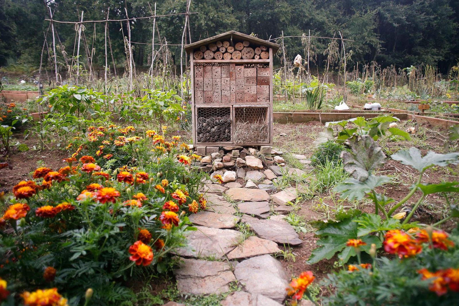 Un hotel de insectos, - Carlos Castro - Europa Press - Archivo