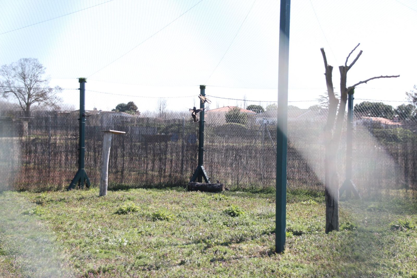 20230304151707-img-1660