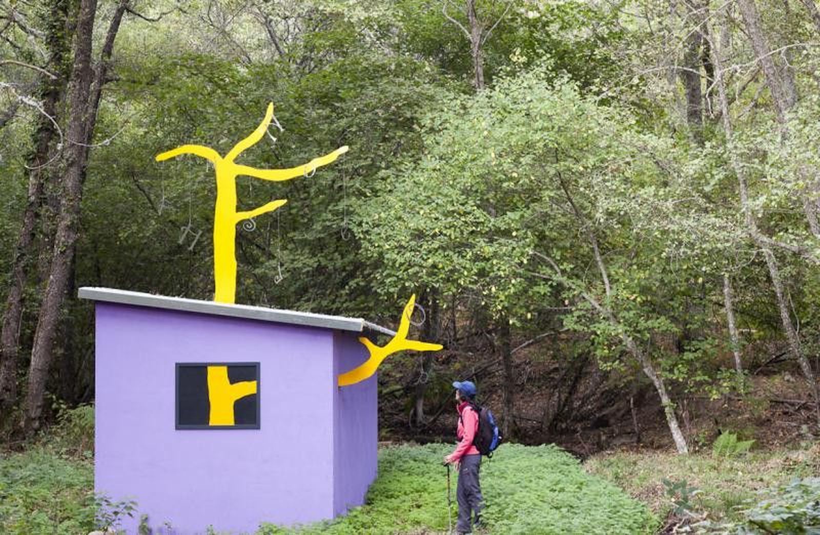 BOSQUE DE LOS ESPEJOS