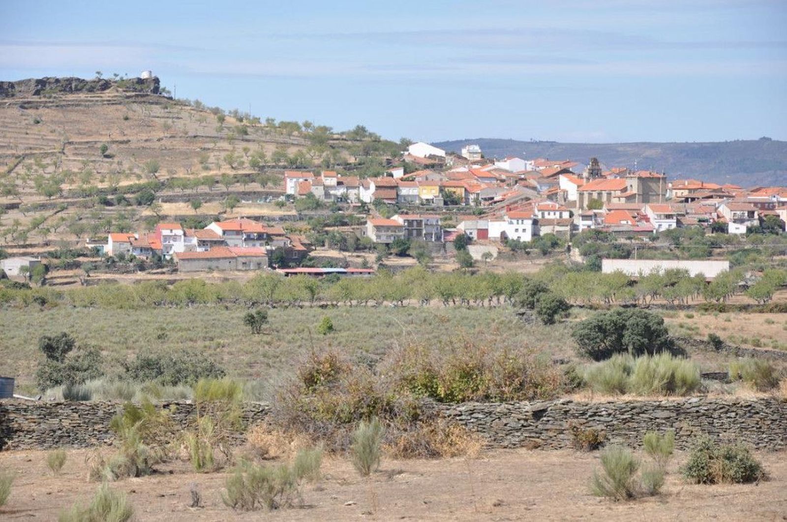 vilvestre vilvestre