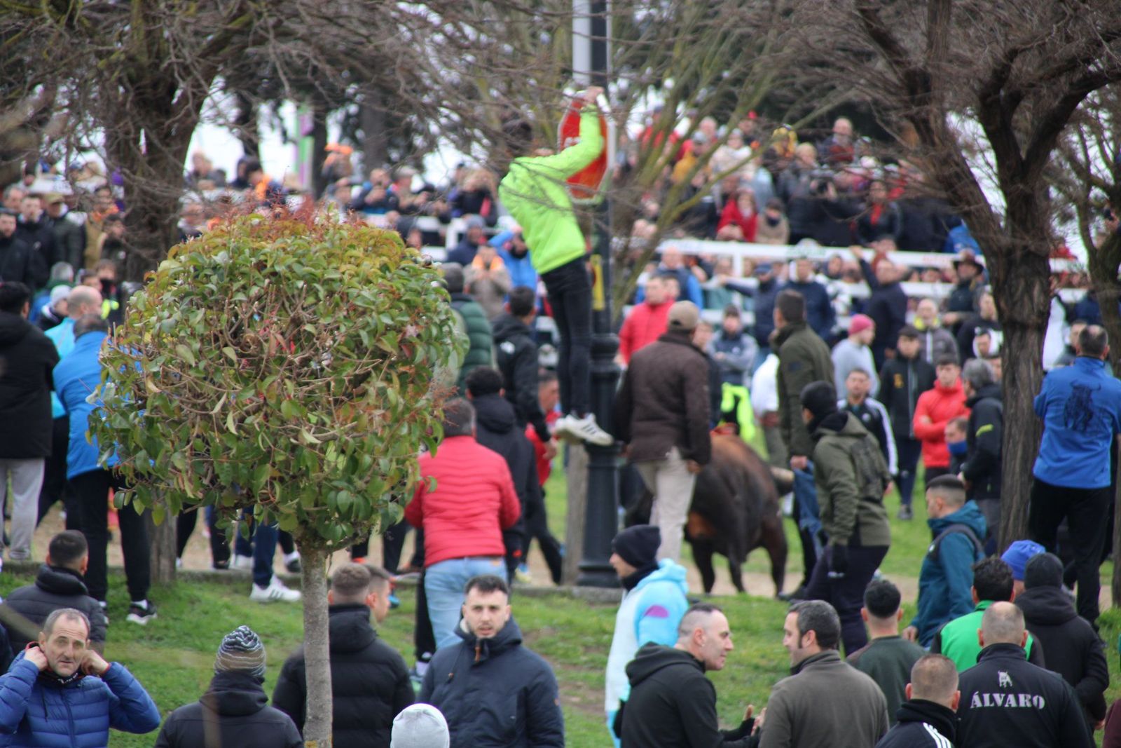 whatsapp-image-2025-03-01-at-11-53-53-1