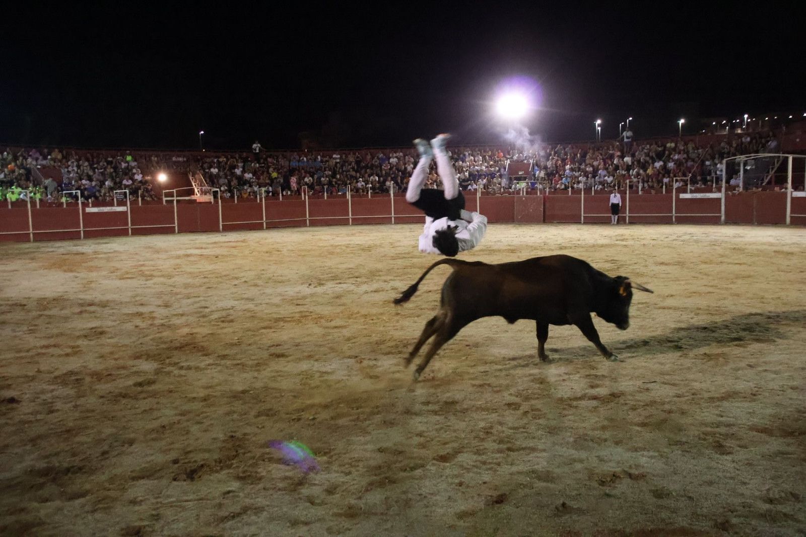 20230814215101-img-2168