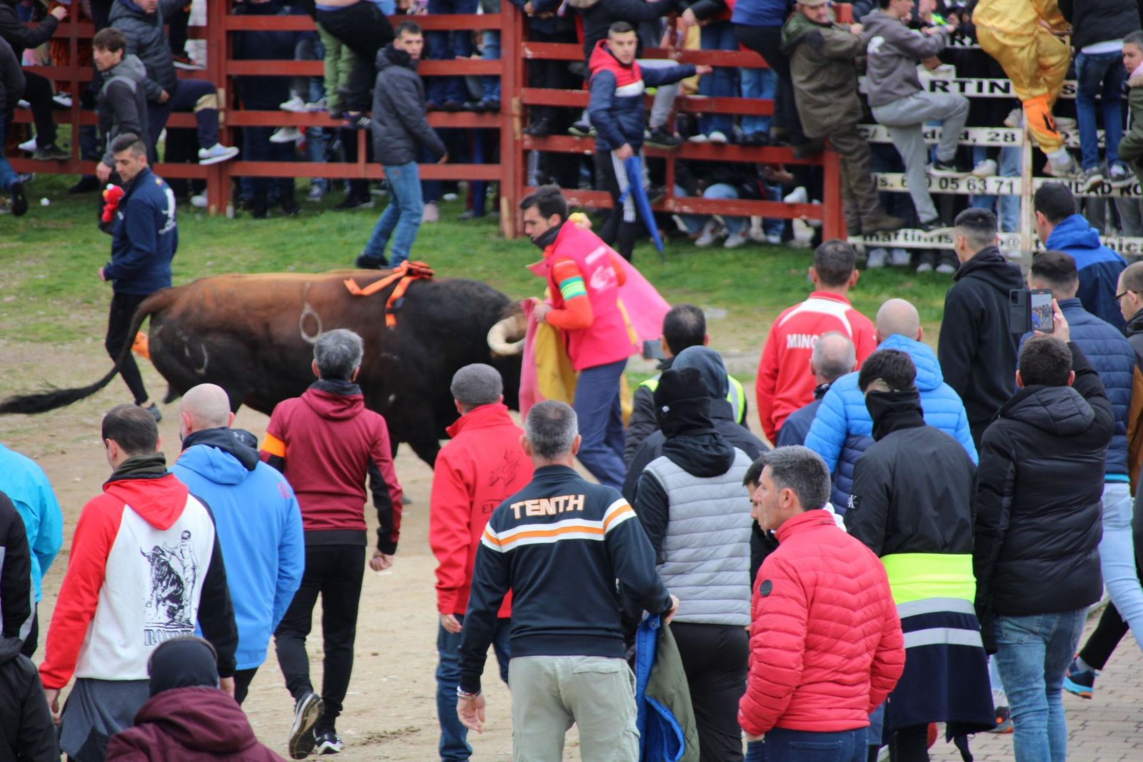 whatsapp-image-2025-03-01-at-11-56-33