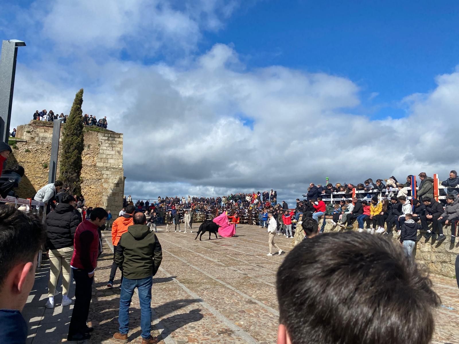 suelta-de-vaquillas-por-el-domingo-de-pinata-en-ciudad-rodrigo-9-de-marzo-de-2025-18