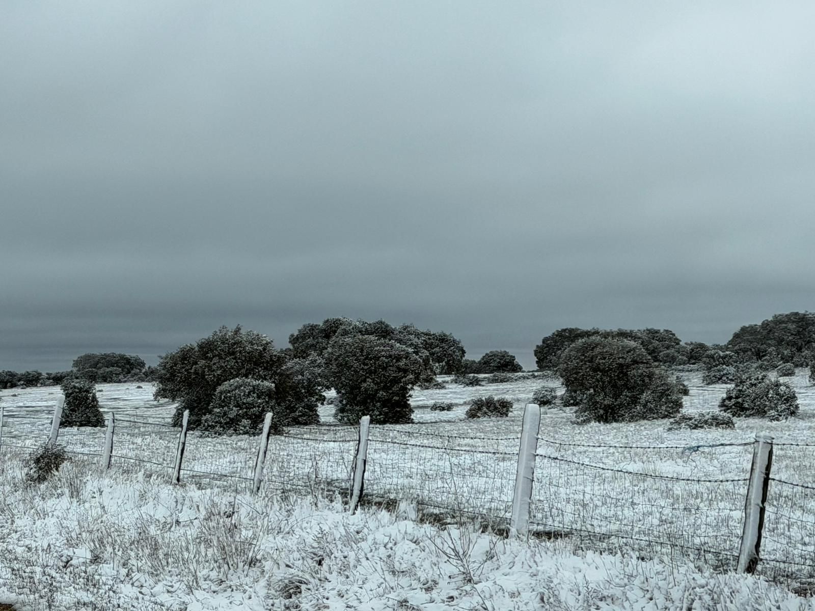 Nieve en Cuatro Calzadas, Pereña y Guijuelo este sábado