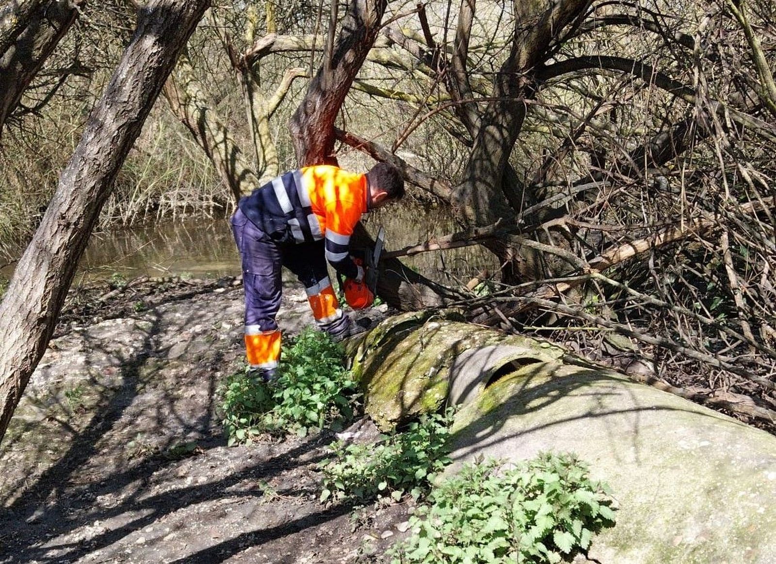 Alba, un trabajador municipal realiza labores de limpieza