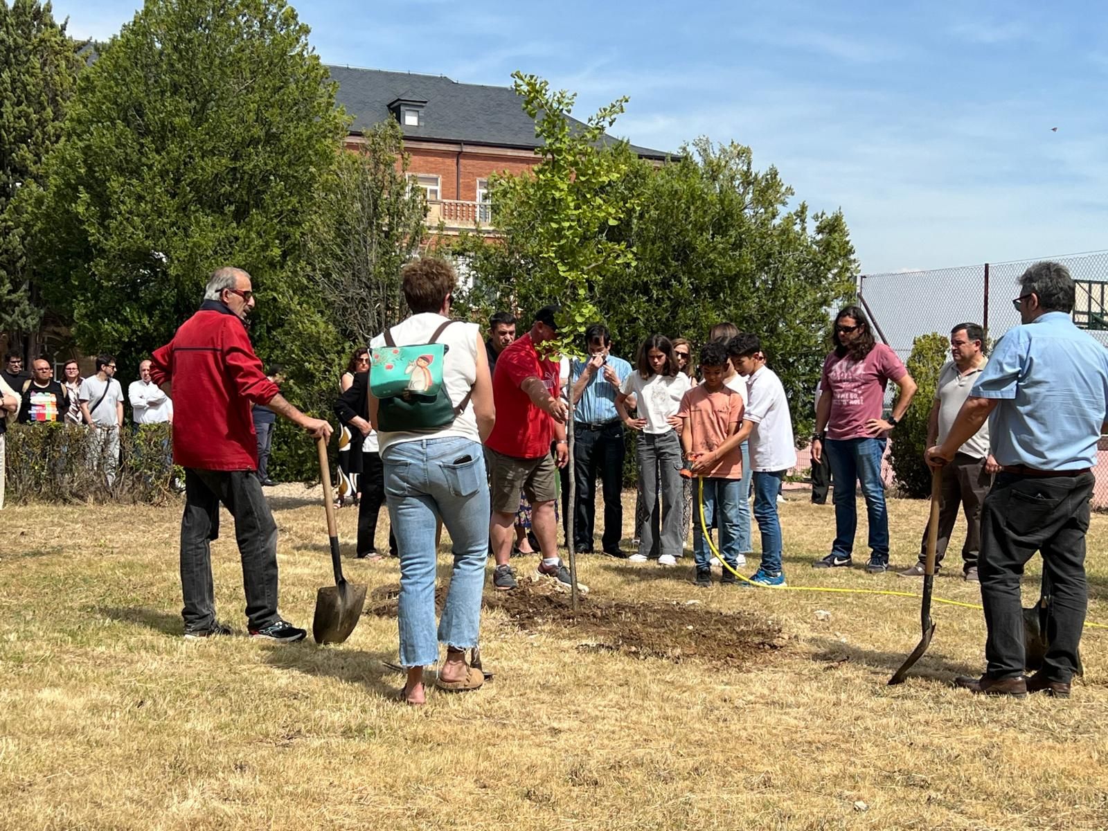 whatsapp-image-2024-06-05-at-17-37-41-1