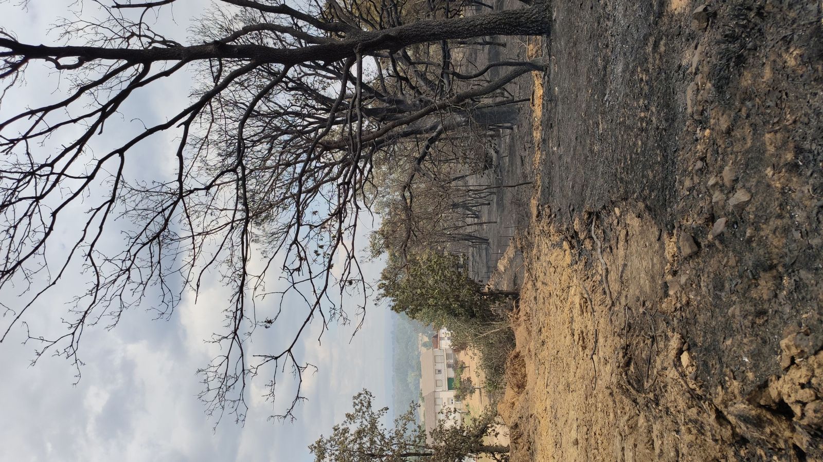 las-desoladoras-imagenes-de-la-sierra-de-la-culebra-tras-el-incendio-20