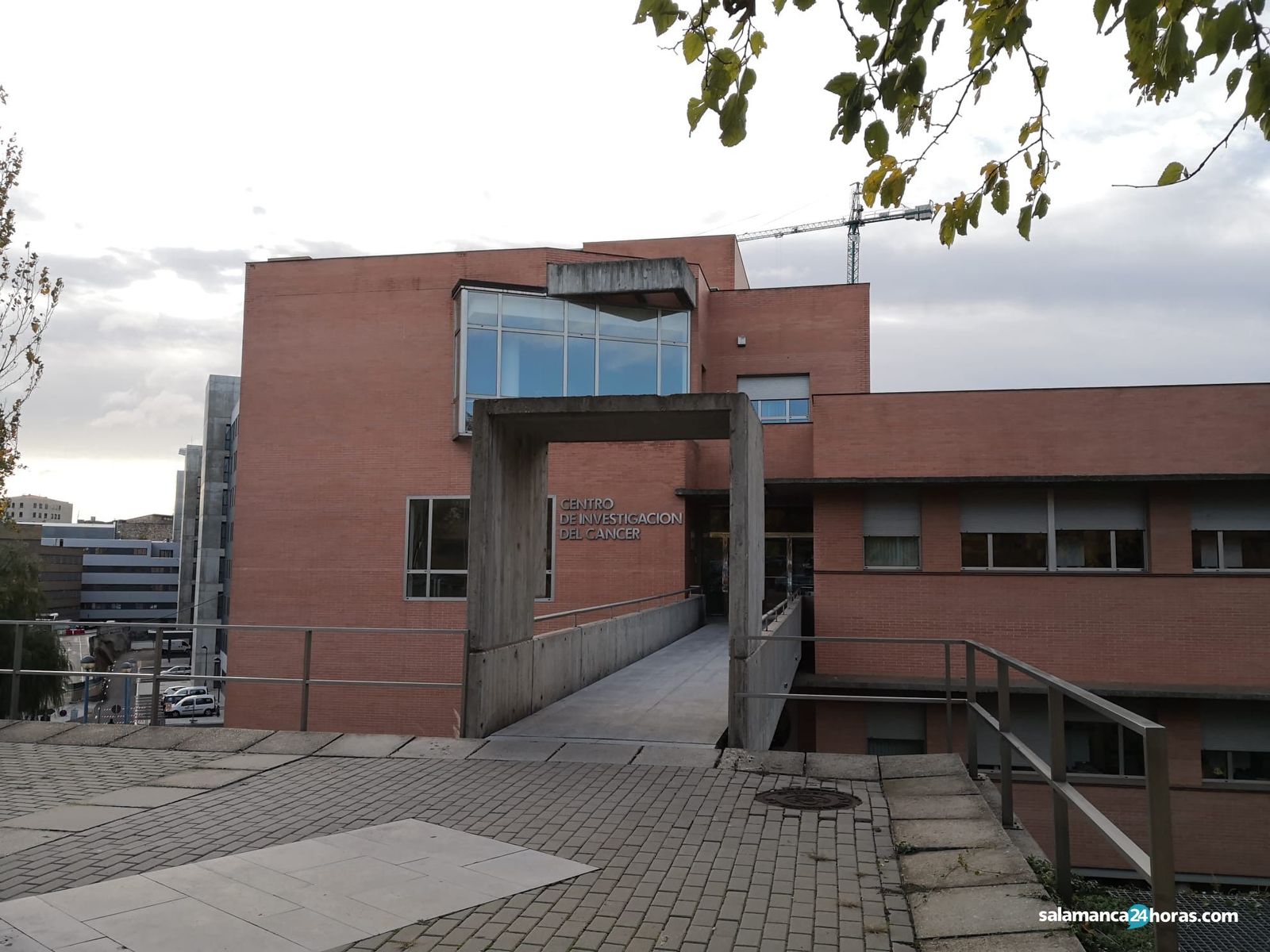 Visita de carbayo al cic (3)