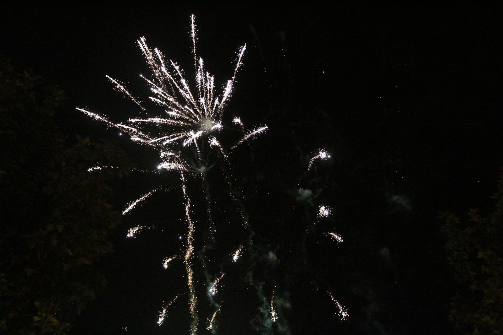 20230612234201-img-9355