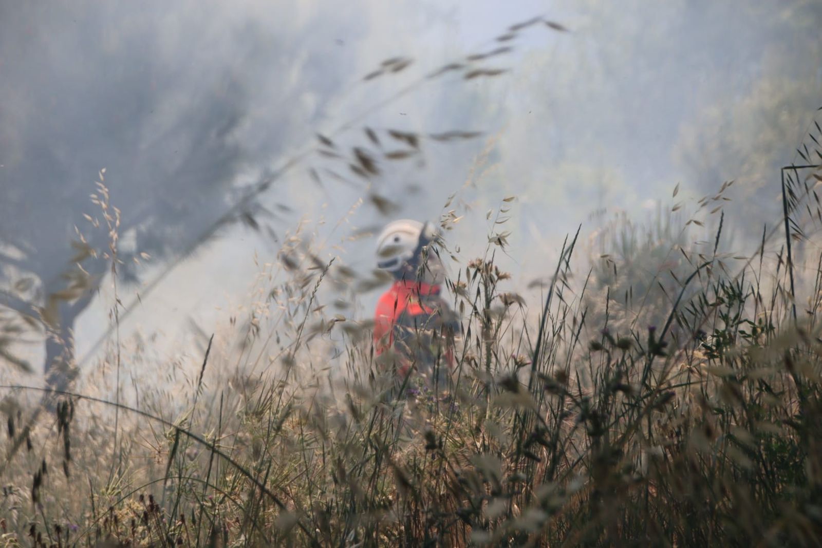 Incendio de pasto en los entornos de la avenida de La Aldehuela
