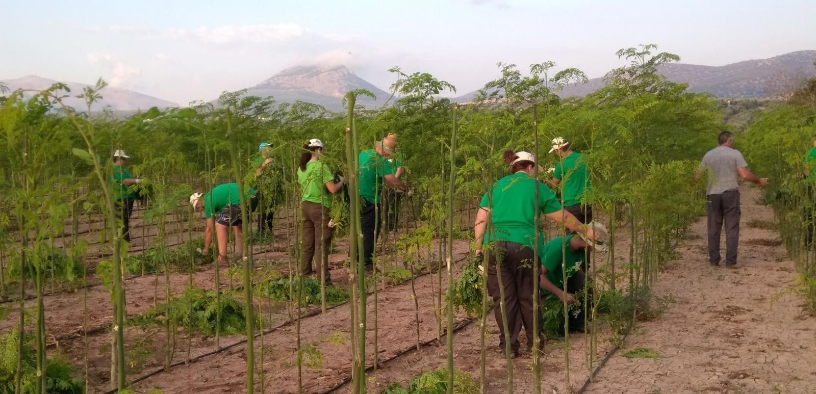 Jóvenes Agricultores. Foto de archivo