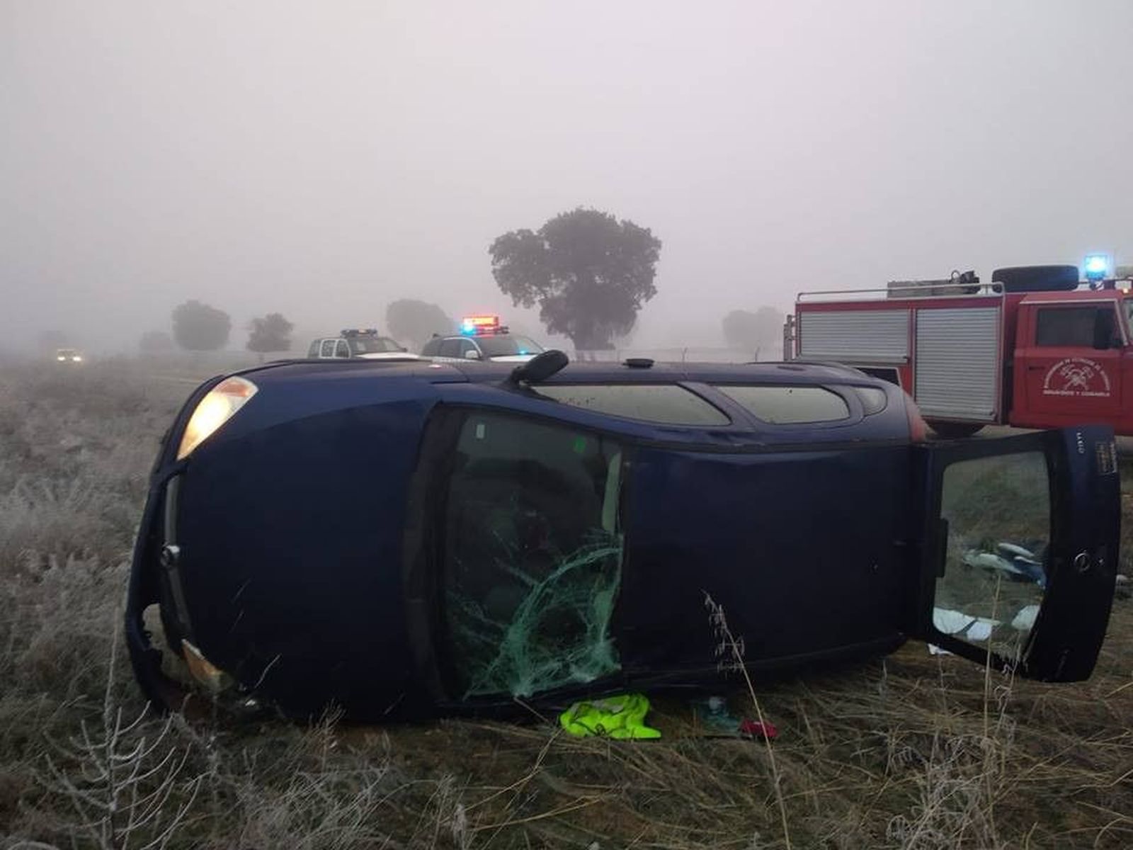 49801151 1803539726416937 1152198644431060992 n