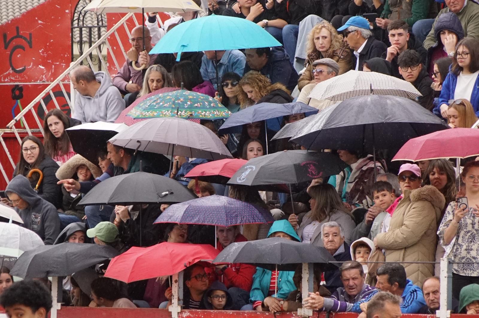 Villoria, toro del Voto