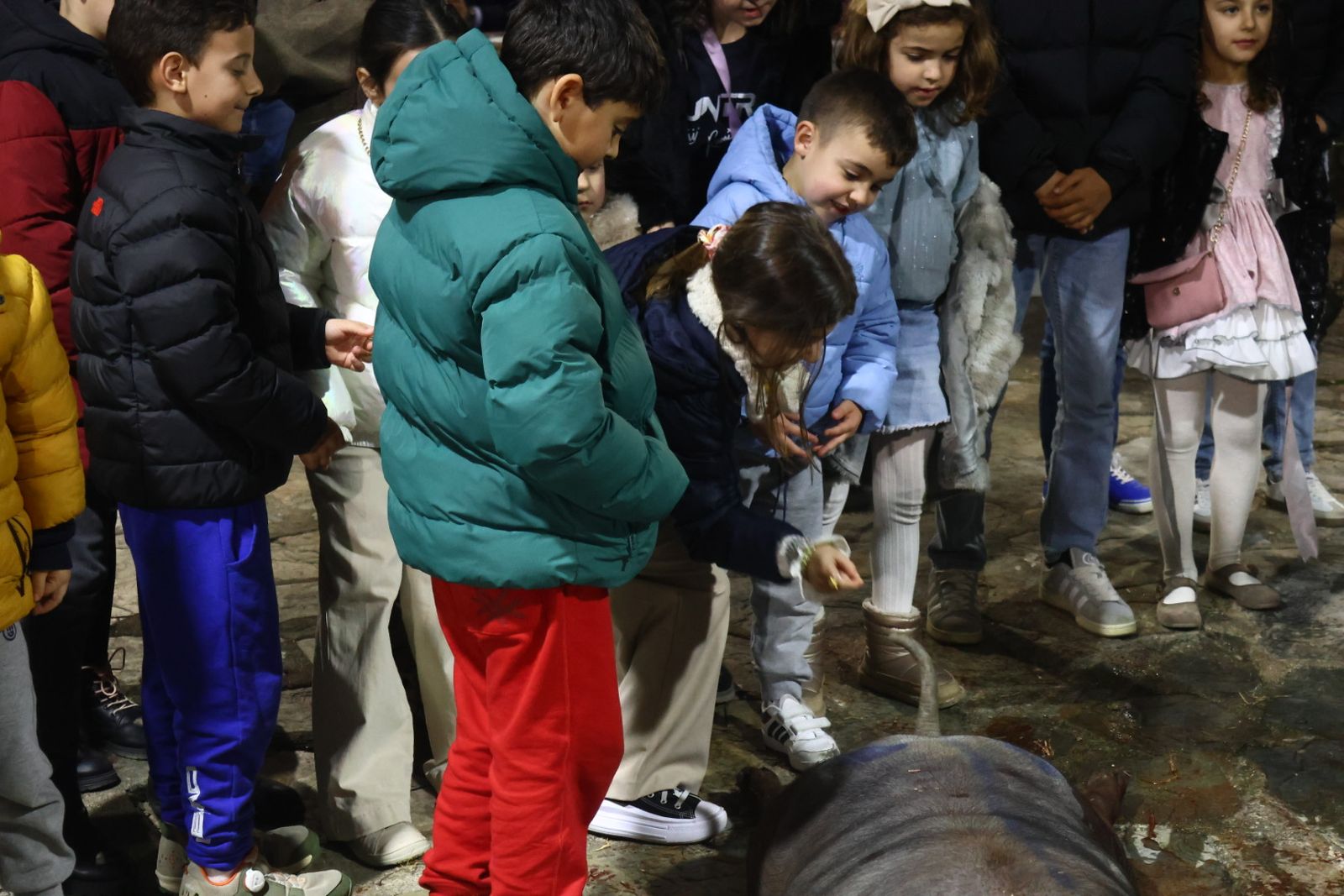 Matanza nocturna de Guijuelo dedicada a la hostelería