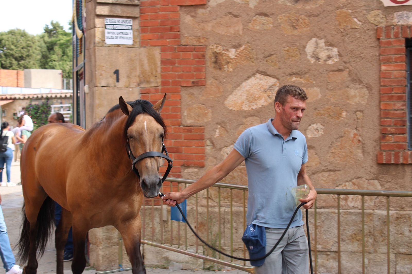 Un encierro de grata presentación de Sánchez y Sánchez para corrida de rejones de la feria
