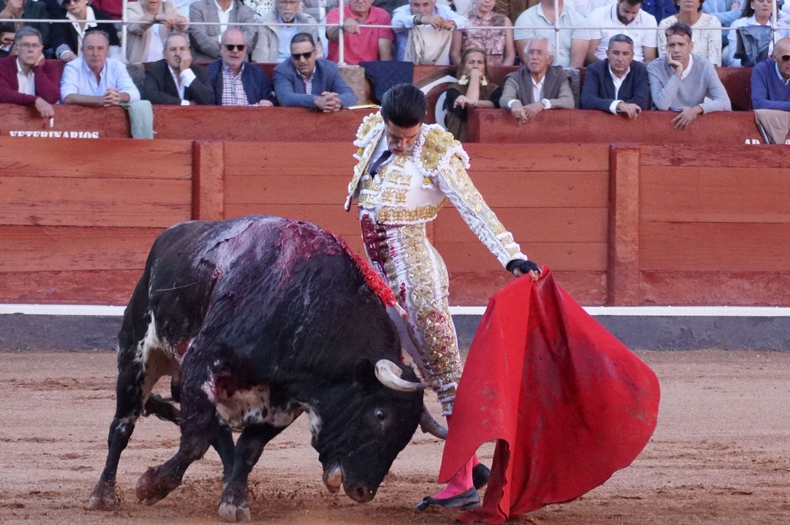 La corrida concurso para despedir la feria con Morante, Talavante y Borja Jiménez: imágenes de los mejores momentos en La Glorieta