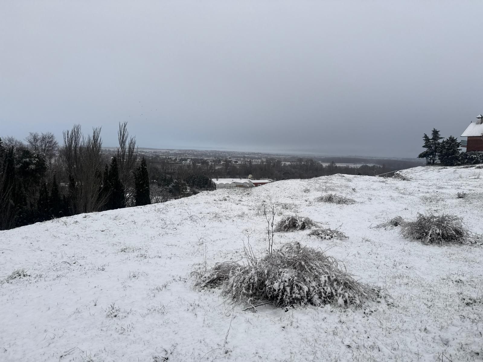 La nieve anega carreteras y tiñe de blanco Salamanca capital y provincia: imágenes de la nevada de este 28 de enero