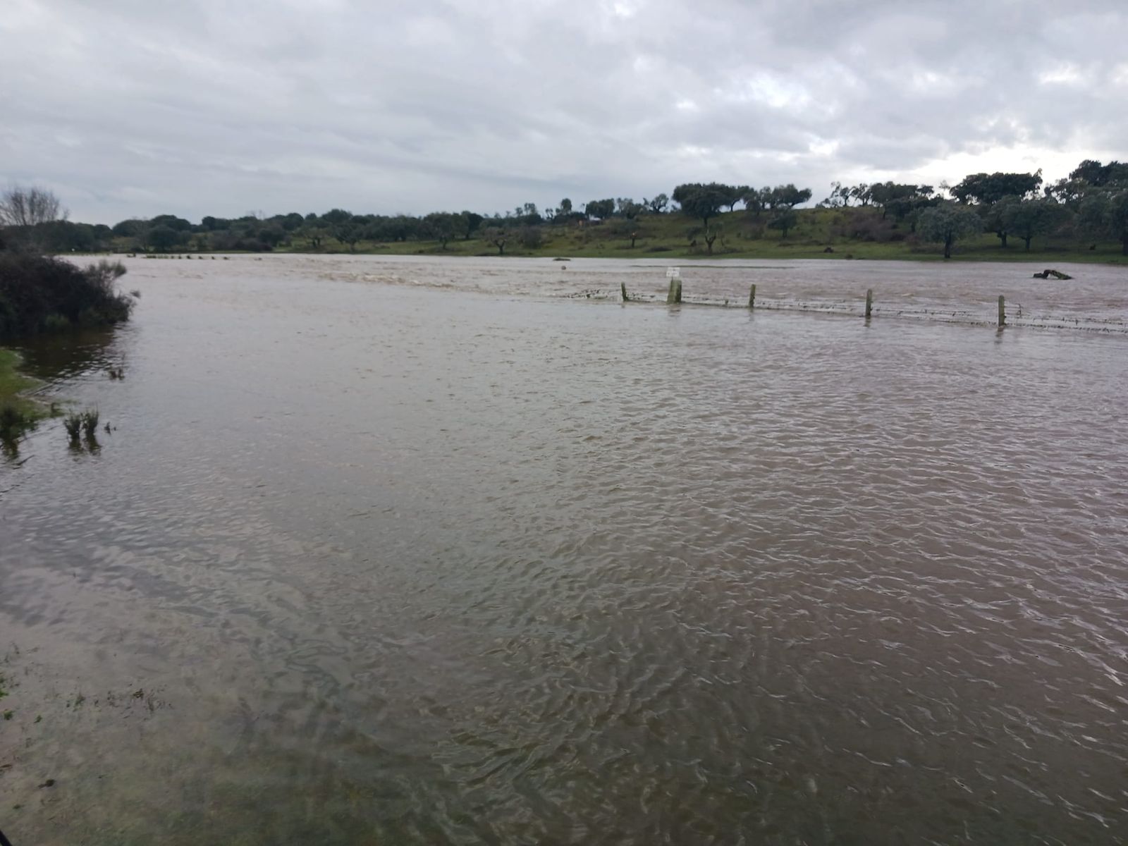 imagen-de-whatsapp-2024-01-17-a-las-18-24-08-99e3cb7a