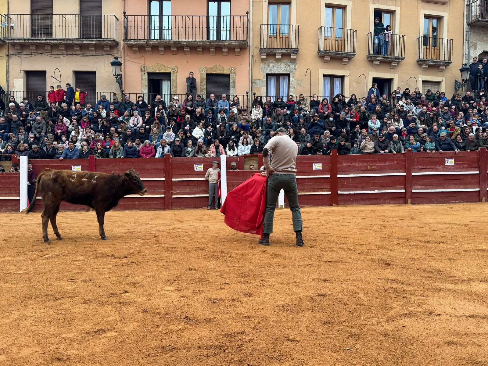 imagen-de-whatsapp-2025-02-27-a-las-19-03-44-88bd43ea