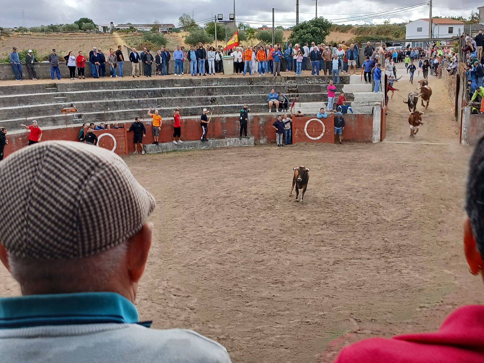Segundo encierro con novillos de Valdeflores en Pereña de la Ribera