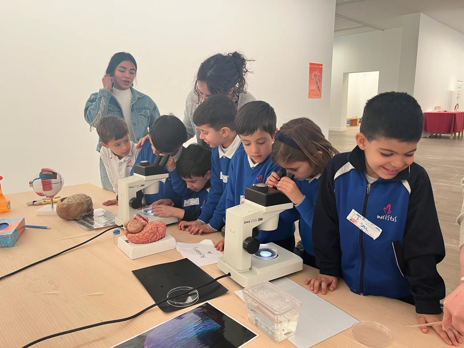 experiencias-cientificas