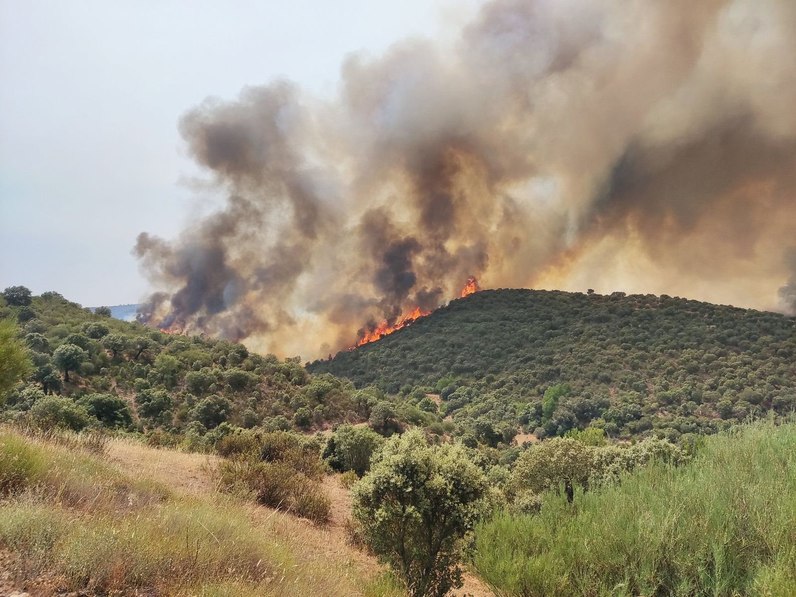 Incendio en Figueruela. Foto Coordinadora Rural de Zamora