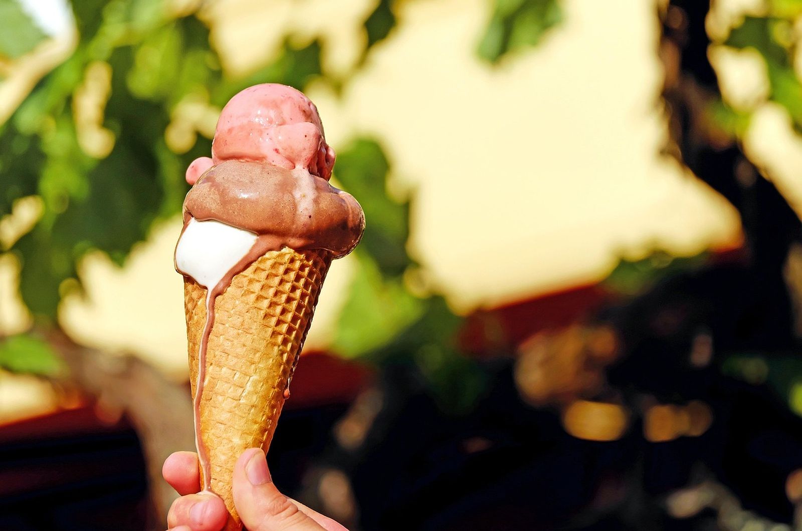 Helado