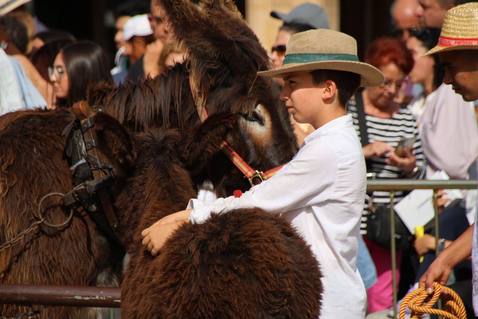 20230603170346-img-9116