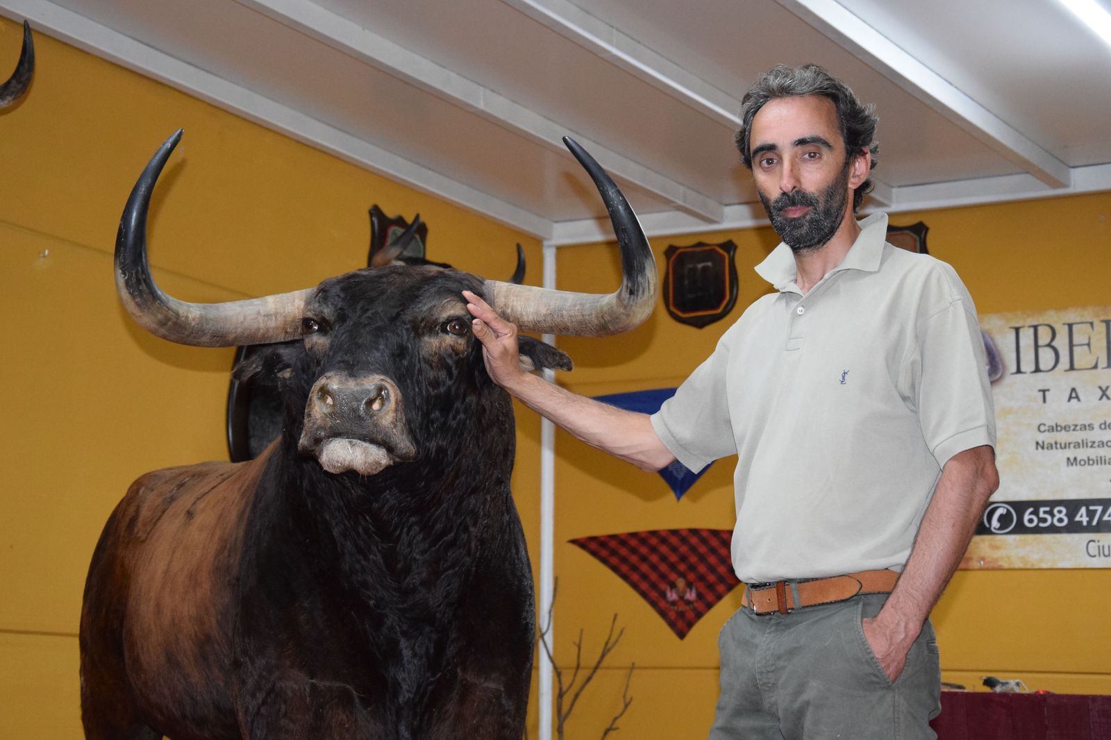 taxidermia-en-salamanca-23