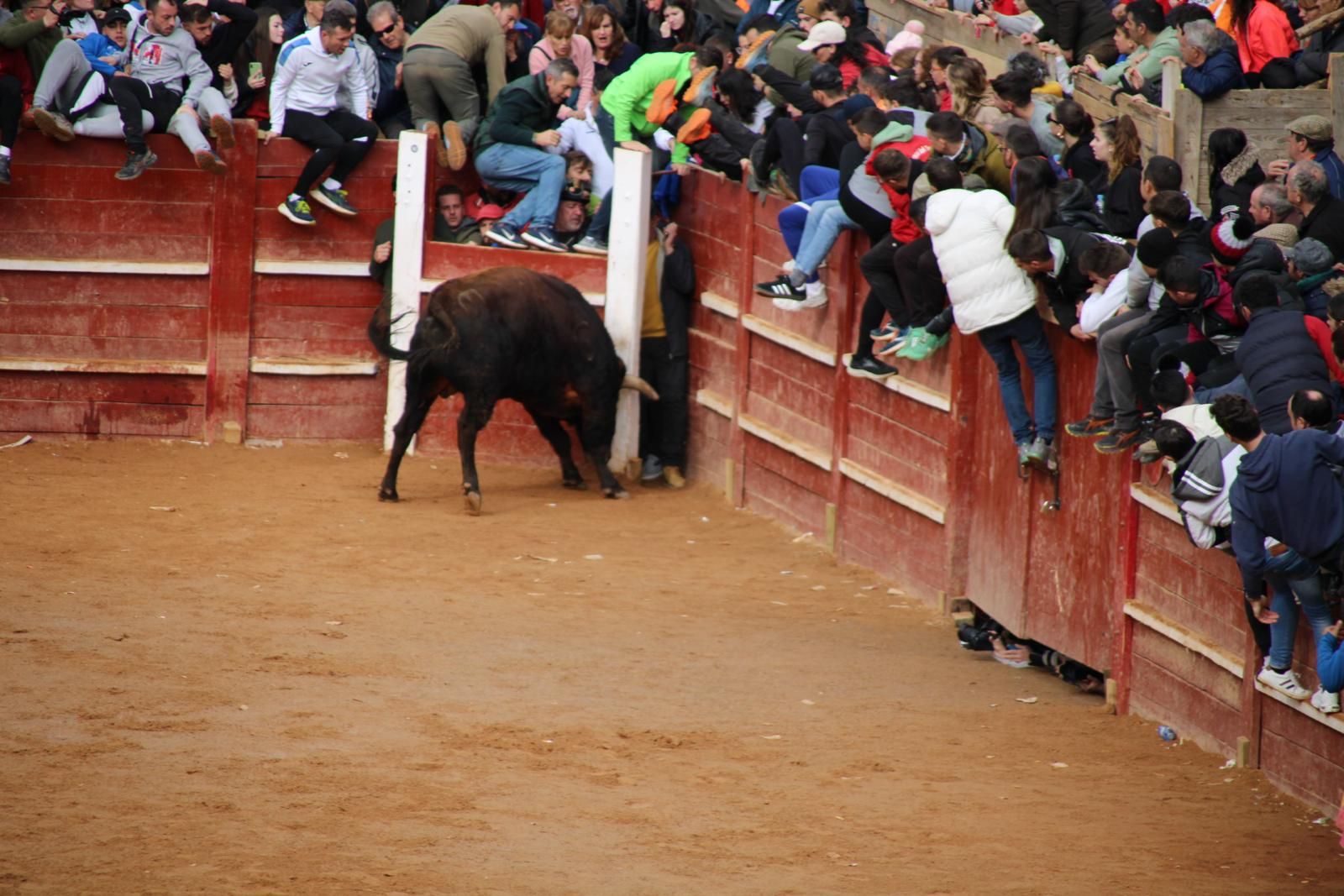 capea-matutina-del-martes-de-carnaval-18