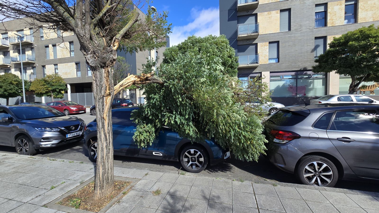 whatsapp-image-2024-10-09-at-12-44-28