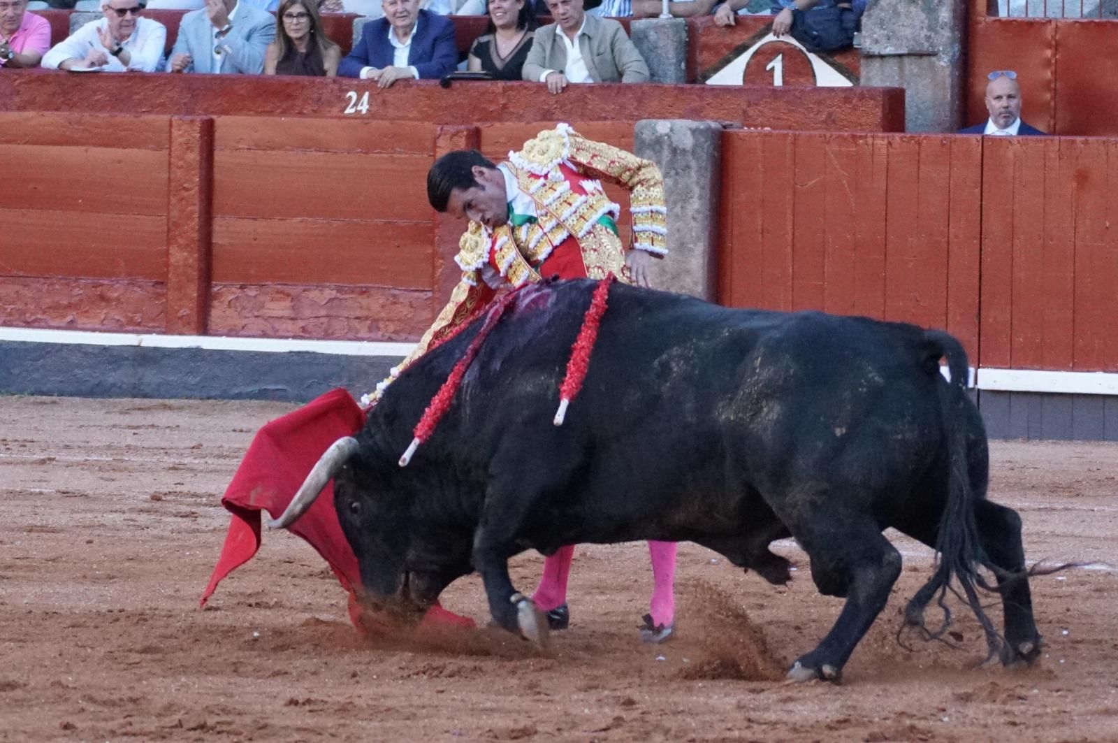 Emilio de Justo, Juan Ortega y Roca Rey inauguran el cartel de figuras en la feria de Salamanca: la corrida de Garcigrande en imágenes