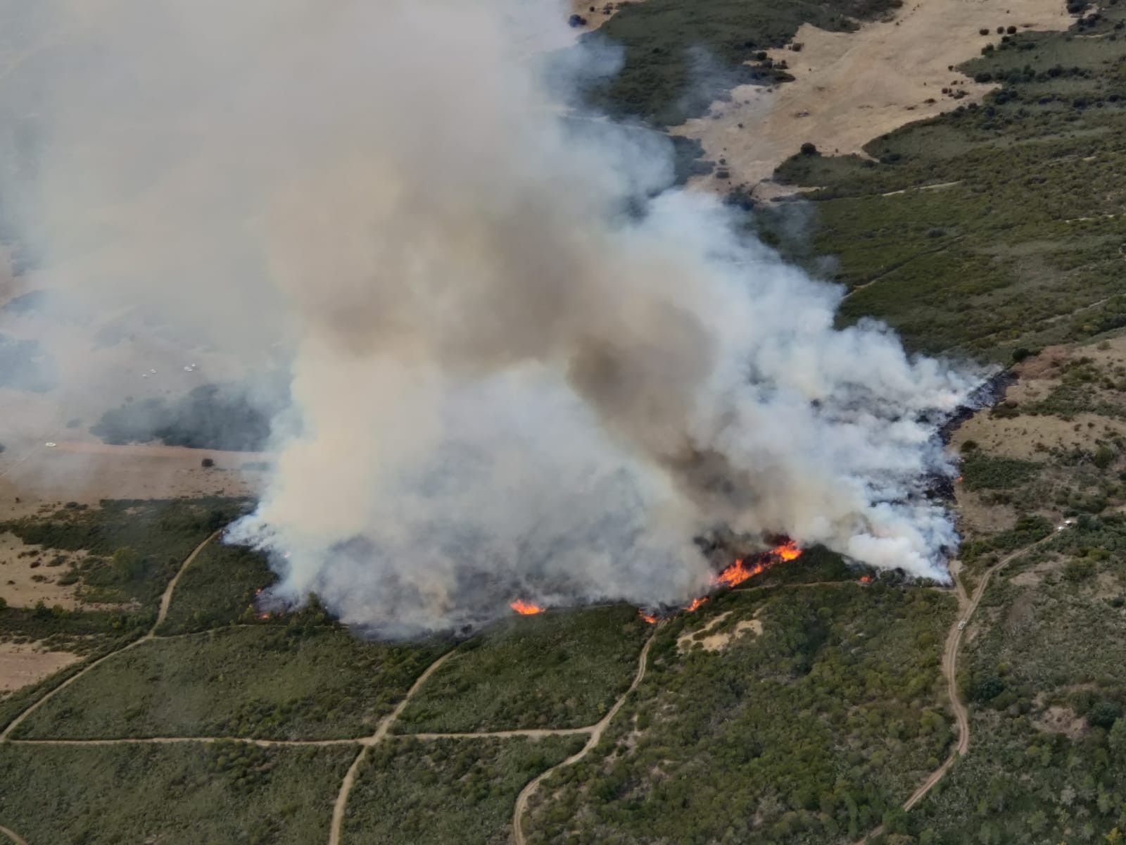 Incendio palazuelo de las cuevas (6)