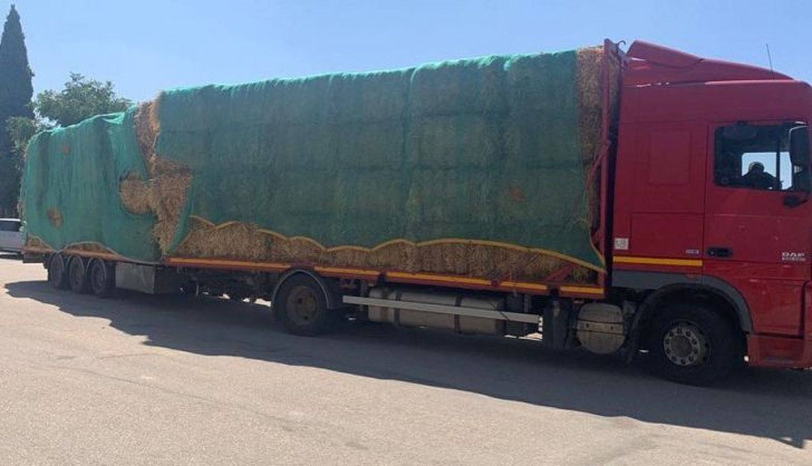 Camión de forraje para el ganado en San Felices