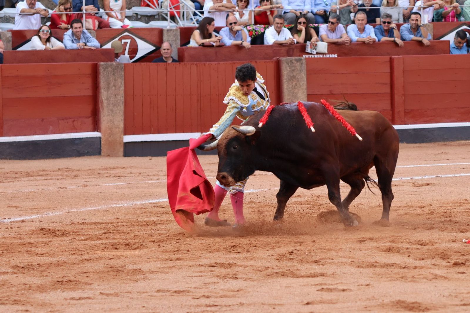 20230910174559-img-1902