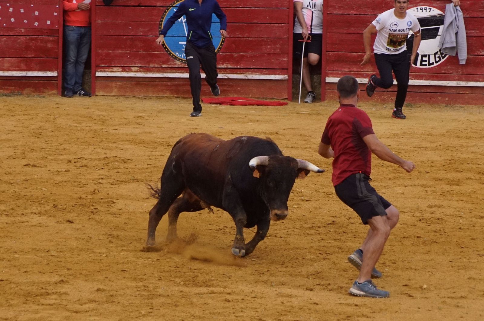 f2399e59-0448-45ac-aa78-f133beebbd33